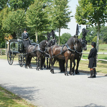 Traditional Horse Drawn Hearse